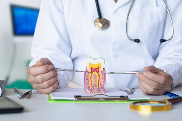 Emergency Dentist Open Today in MD